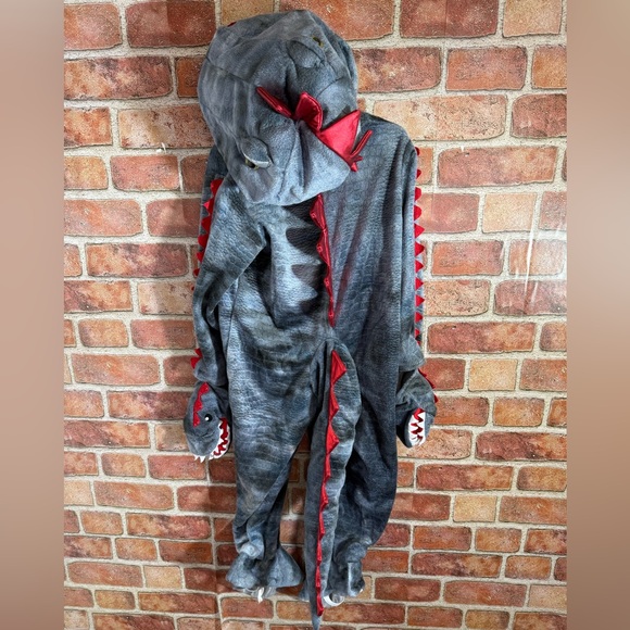 Minister of Rascals side 4T dragon costume - Picture 2 of 6